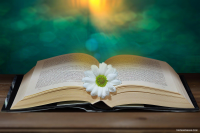 CÔNG KHAI THỰC HIỆN DỰ TOÁN THU - CHI NGÂN SÁCH 